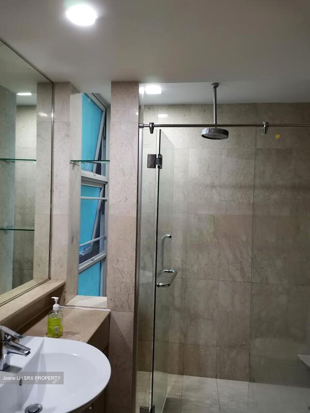 The Raintree (D21), Condominium #578606551